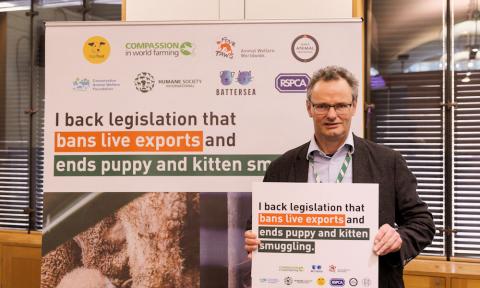 Peter Aldous MP attends a Parliamentary event in support of a ban on live animal exports