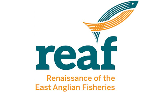 REAF logo