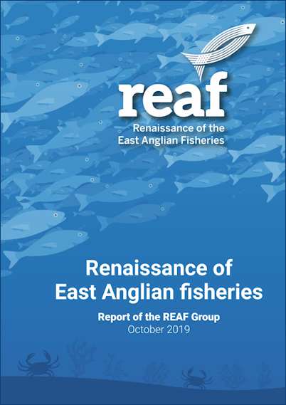 REAF Group Report