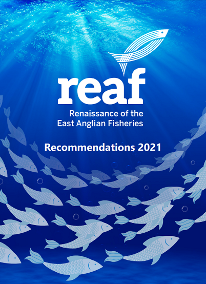 REAF Recommendations 2021